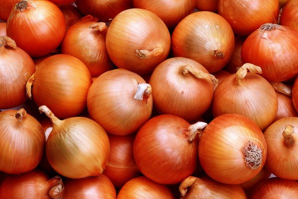 Гидра сайт hydraruzxpnew4af onion